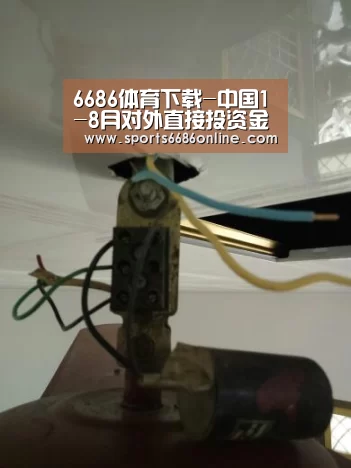 6686体育下载-中国1-8月对外直接投资金额740.9亿美元同比增7.8%(图1) 6686体育