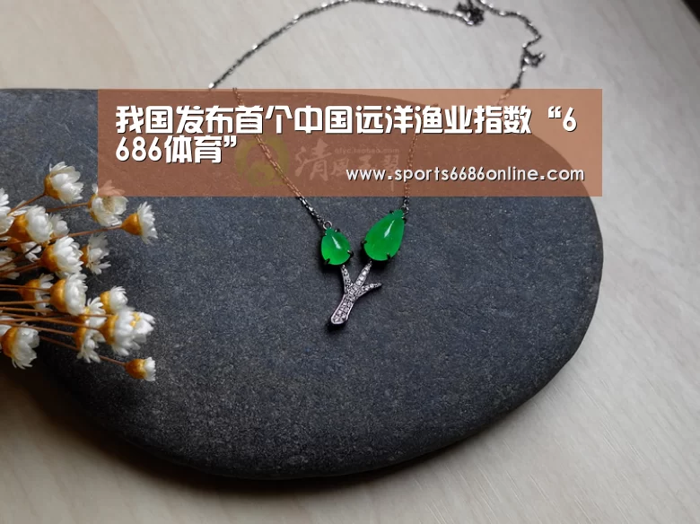 我国发布首个中国远洋渔业指数“6686体育”(图1) 6686体育