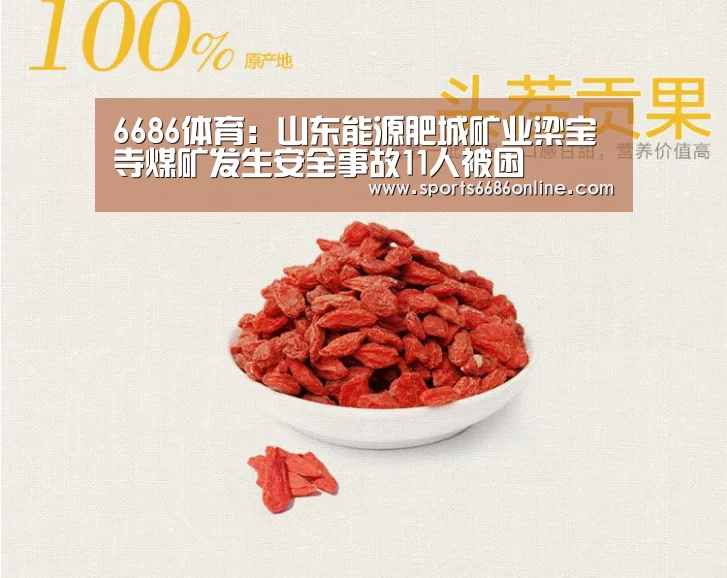 6686体育下载