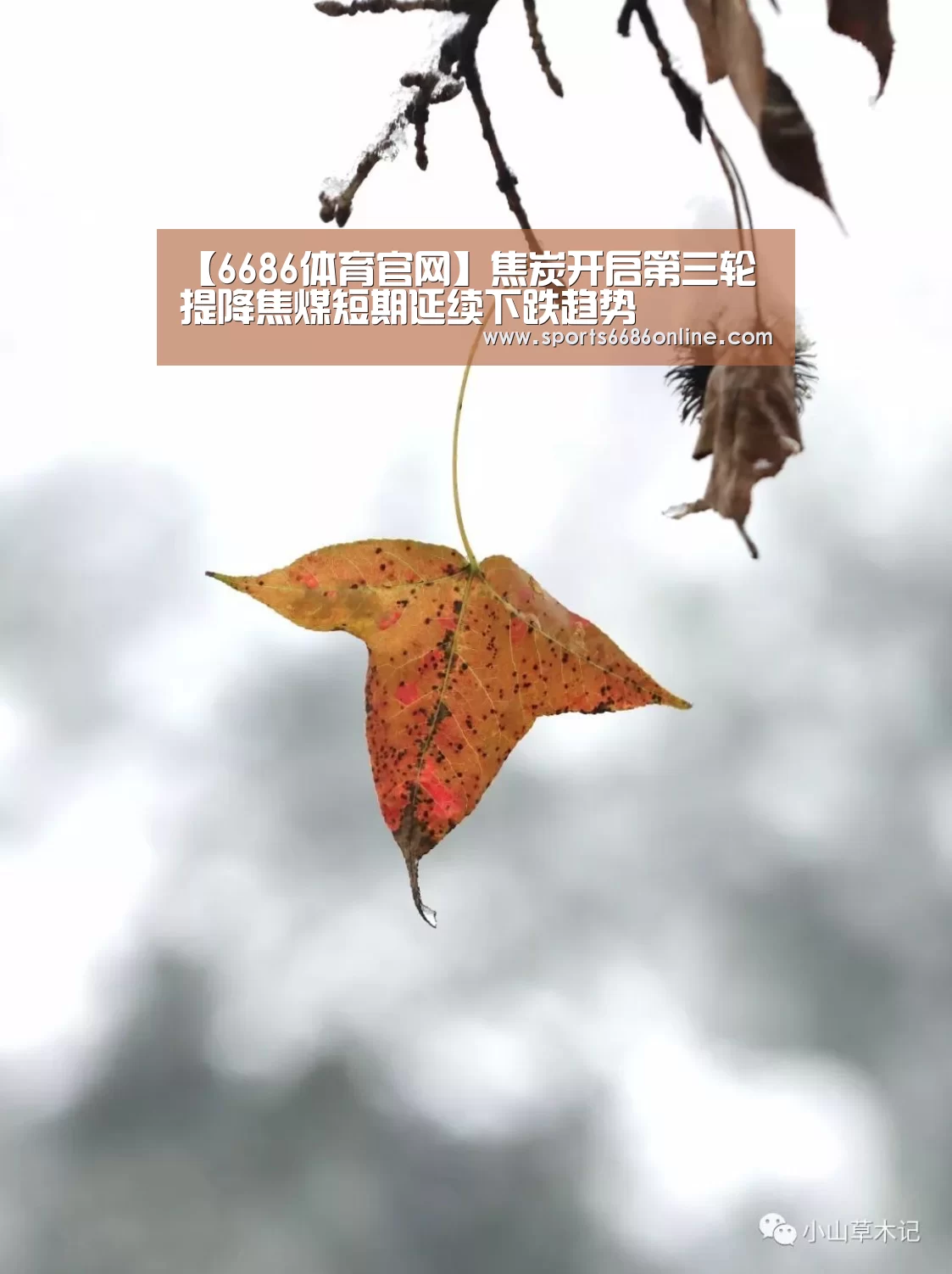【6686体育官网】焦炭开启第三轮提降焦煤短期延续下跌趋势(图2) 6686体育