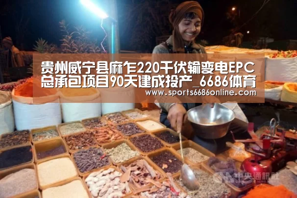贵州威宁县麻乍220千伏输变电EPC总承包项目90天建成投产_6686体育直播(图1) 6686体育下载