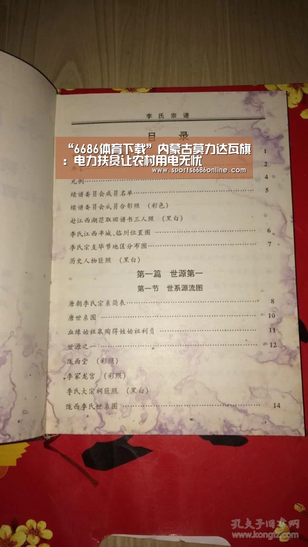 “6686体育下载”内蒙古莫力达瓦旗:电力扶贫让农村用电无忧(图1) 6686体育直播