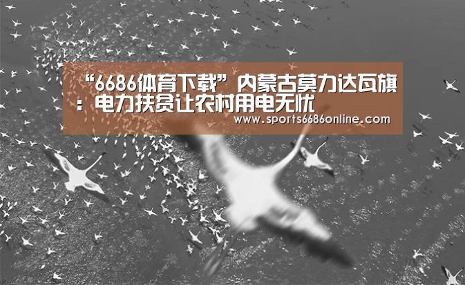 “6686体育下载”内蒙古莫力达瓦旗:电力扶贫让农村用电无忧(图3) 6686体育直播