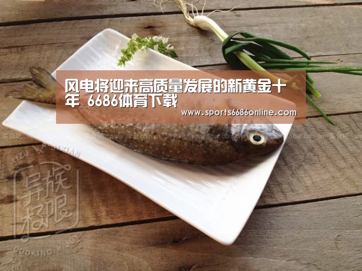 风电将迎来高质量发展的新黄金十年_6686体育下载(图2) 6686体育官网